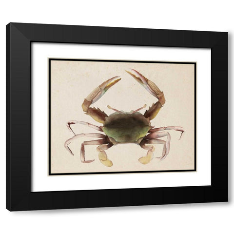 Sea Dweller IV Black Modern Wood Framed Art Print with Double Matting by Popp, Grace