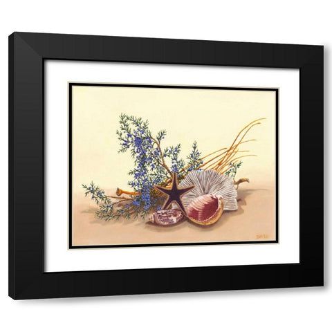 Sea Still Life I Black Modern Wood Framed Art Print with Double Matting by Miller, Dianne