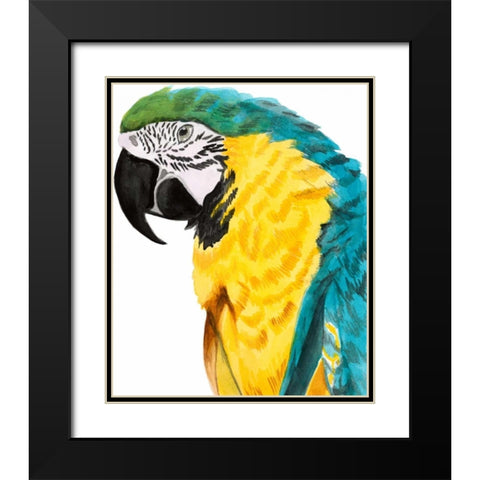 Watercolor Parrot Black Modern Wood Framed Art Print with Double Matting by McCavitt, Naomi