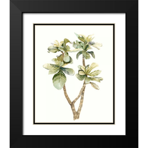 Tropical Watercolor Leaves III Black Modern Wood Framed Art Print with Double Matting by Meagher, Megan