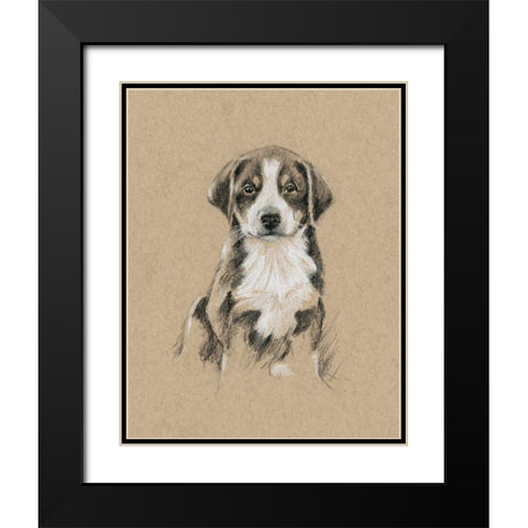 Breed Sketches II Black Modern Wood Framed Art Print with Double Matting by Harper, Ethan