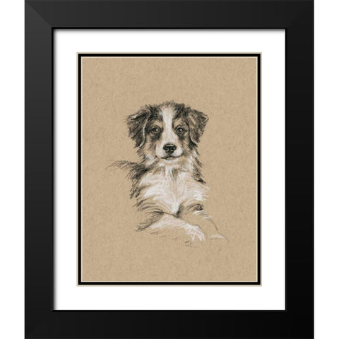 Breed Sketches IV Black Modern Wood Framed Art Print with Double Matting by Harper, Ethan