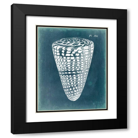 Azure Shell I Black Modern Wood Framed Art Print with Double Matting by Vision Studio