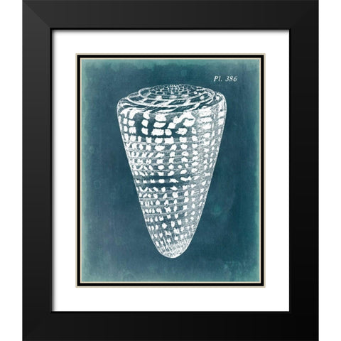 Azure Shell I Black Modern Wood Framed Art Print with Double Matting by Vision Studio