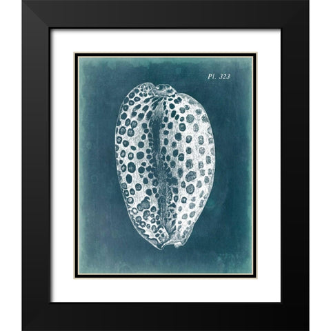 Azure Shell II Black Modern Wood Framed Art Print with Double Matting by Vision Studio