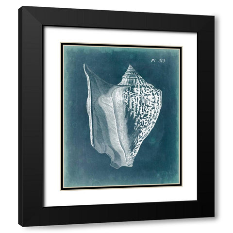 Azure Shell III Black Modern Wood Framed Art Print with Double Matting by Vision Studio