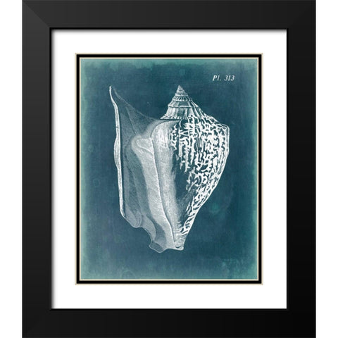 Azure Shell III Black Modern Wood Framed Art Print with Double Matting by Vision Studio