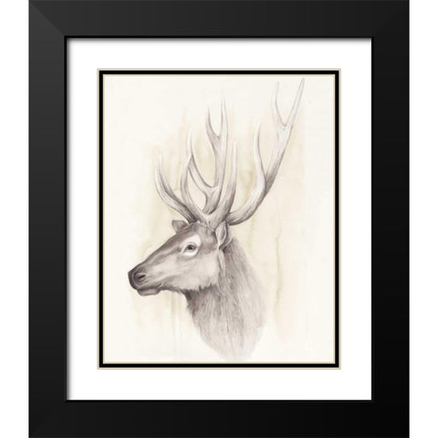 American Wilderness III Black Modern Wood Framed Art Print with Double Matting by Popp, Grace