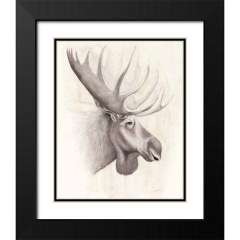 American Wilderness IV Black Modern Wood Framed Art Print with Double Matting by Popp, Grace