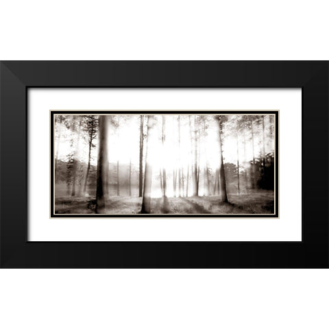 Sunrise in the Pines Black Modern Wood Framed Art Print with Double Matting by McLoughlin, James