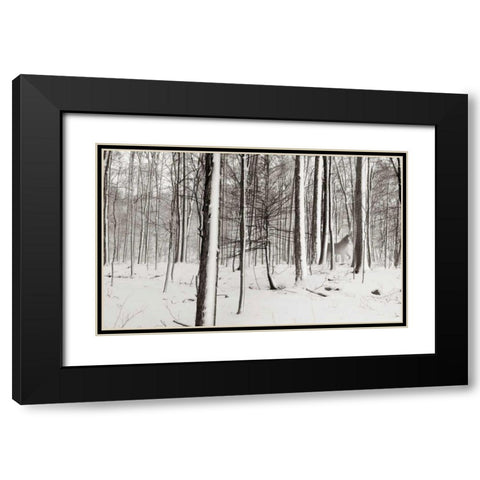 A Snowy Walk I Black Modern Wood Framed Art Print with Double Matting by McLoughlin, James