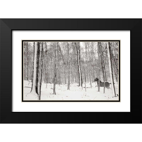 A Snowy Walk II Black Modern Wood Framed Art Print with Double Matting by McLoughlin, James