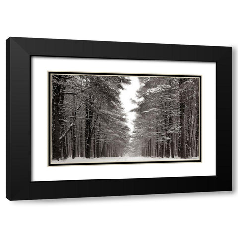 A Snowy Walk IV Black Modern Wood Framed Art Print with Double Matting by McLoughlin, James