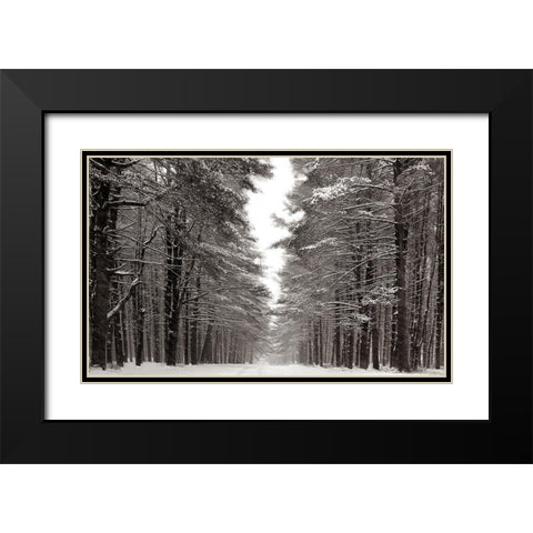 A Snowy Walk IV Black Modern Wood Framed Art Print with Double Matting by McLoughlin, James