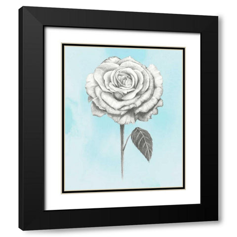Graphite Rose III Black Modern Wood Framed Art Print with Double Matting by Popp, Grace