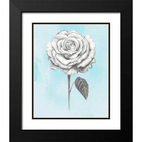 Graphite Rose III Black Modern Wood Framed Art Print with Double Matting by Popp, Grace
