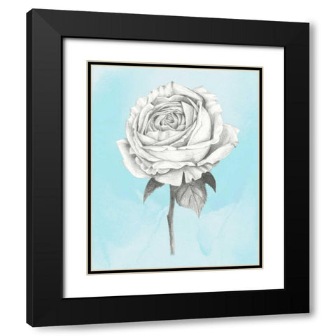 Graphite Rose IV Black Modern Wood Framed Art Print with Double Matting by Popp, Grace