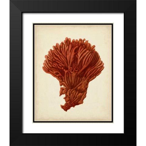 Antique Red Coral I Black Modern Wood Framed Art Print with Double Matting by Vision Studio