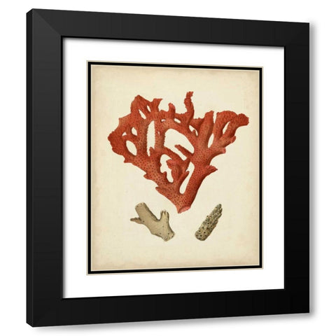 Antique Red Coral II Black Modern Wood Framed Art Print with Double Matting by Vision Studio