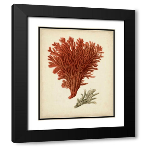 Antique Red Coral V Black Modern Wood Framed Art Print with Double Matting by Vision Studio