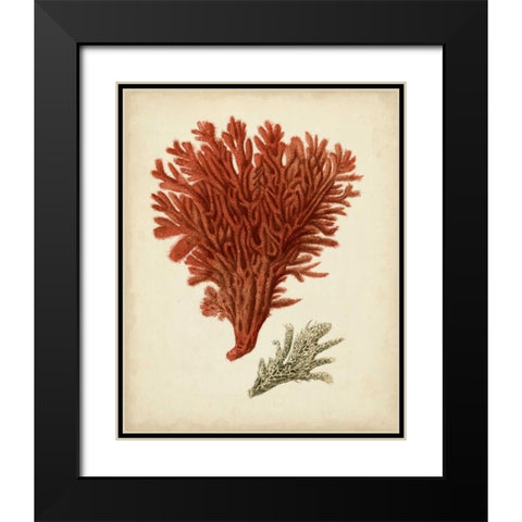 Antique Red Coral V Black Modern Wood Framed Art Print with Double Matting by Vision Studio