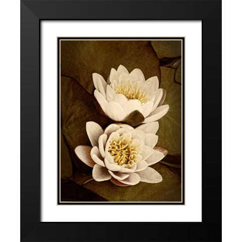 Lily Pad Duo Black Modern Wood Framed Art Print with Double Matting by Perry, Rachel