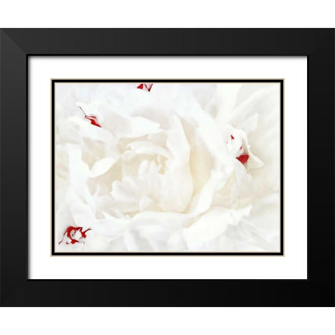 White Linen Peony I Black Modern Wood Framed Art Print with Double Matting by Perry, Rachel