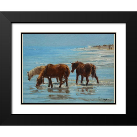 Chincoteague Ponies Black Modern Wood Framed Art Print with Double Matting by Larivey, Chuck