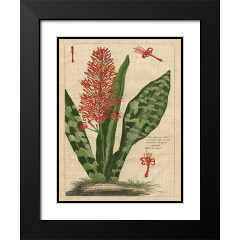 Botanical Study on Linen I Black Modern Wood Framed Art Print with Double Matting by Vision Studio