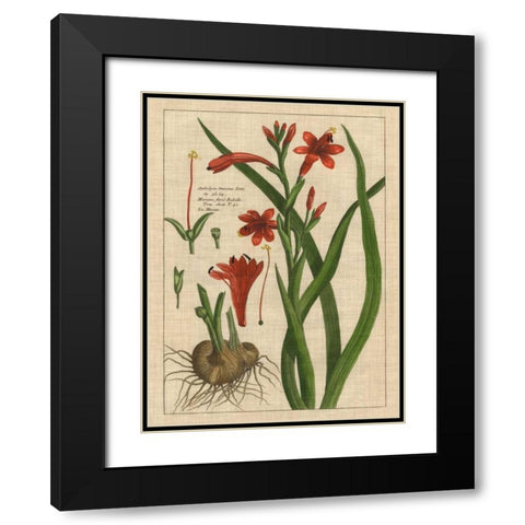 Botanical Study on Linen II Black Modern Wood Framed Art Print with Double Matting by Vision Studio