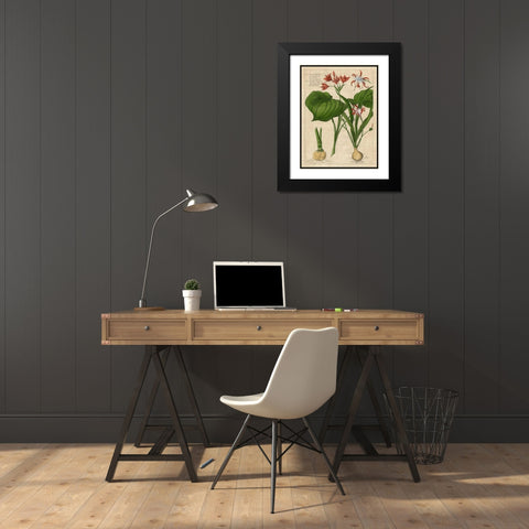 Botanical Study on Linen V Black Modern Wood Framed Art Print with Double Matting by Vision Studio