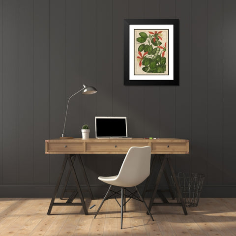 Botanical Study on Linen VI Black Modern Wood Framed Art Print with Double Matting by Vision Studio