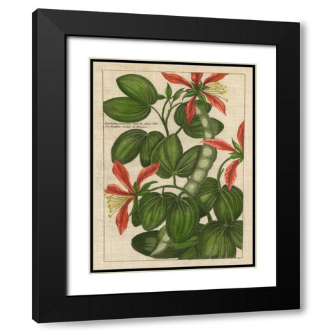 Botanical Study on Linen VI Black Modern Wood Framed Art Print with Double Matting by Vision Studio