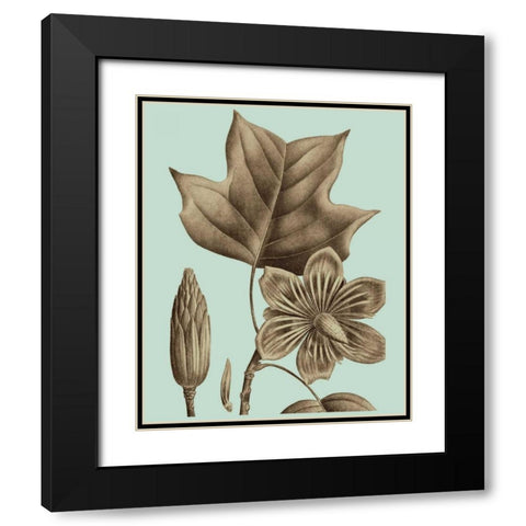 Flowering Trees I Black Modern Wood Framed Art Print with Double Matting by Vision Studio