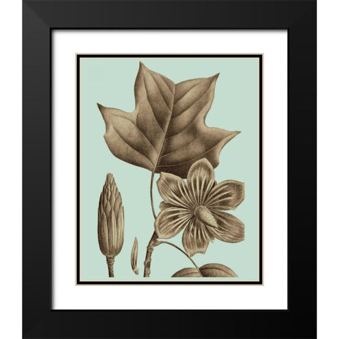 Flowering Trees I Black Modern Wood Framed Art Print with Double Matting by Vision Studio