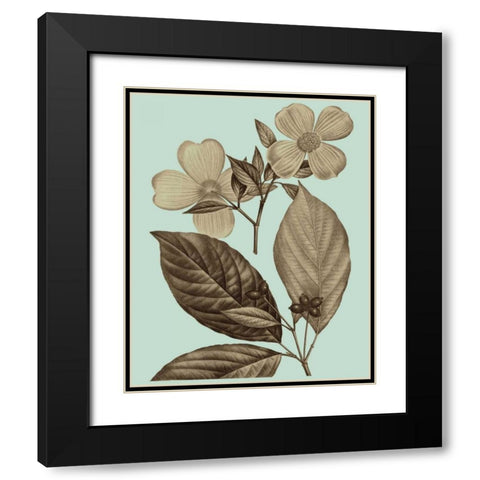 Flowering Trees III Black Modern Wood Framed Art Print with Double Matting by Vision Studio