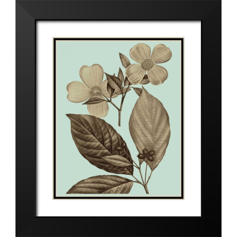 Flowering Trees III Black Modern Wood Framed Art Print with Double Matting by Vision Studio
