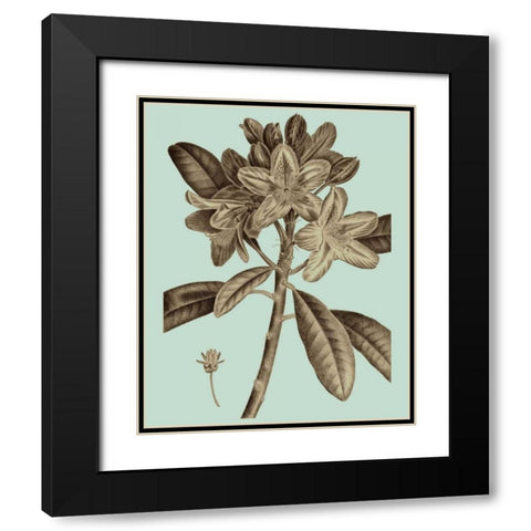 Flowering Trees IV Black Modern Wood Framed Art Print with Double Matting by Vision Studio