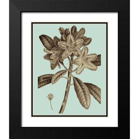 Flowering Trees IV Black Modern Wood Framed Art Print with Double Matting by Vision Studio