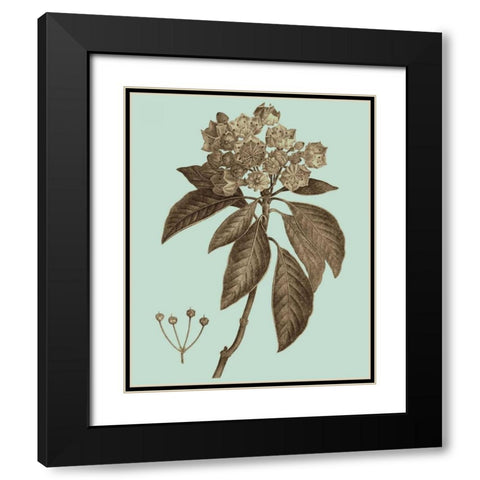 Flowering Trees V Black Modern Wood Framed Art Print with Double Matting by Vision Studio