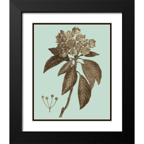 Flowering Trees V Black Modern Wood Framed Art Print with Double Matting by Vision Studio