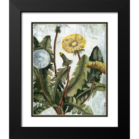 Dandelion Patina I Black Modern Wood Framed Art Print with Double Matting by McCavitt, Naomi