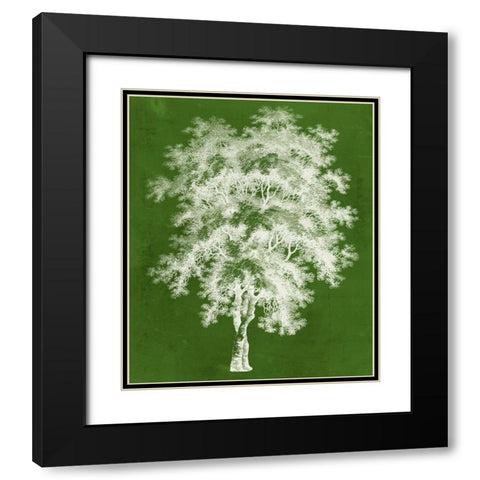 Modern Arbor III Black Modern Wood Framed Art Print with Double Matting by Vision Studio