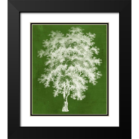 Modern Arbor III Black Modern Wood Framed Art Print with Double Matting by Vision Studio