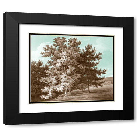 Serene Trees I Black Modern Wood Framed Art Print with Double Matting by Kennion, Edward