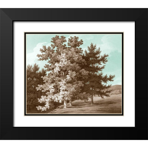 Serene Trees I Black Modern Wood Framed Art Print with Double Matting by Kennion, Edward