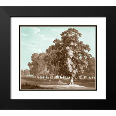 Serene Trees II Black Modern Wood Framed Art Print with Double Matting by Kennion, Edward