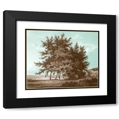 Serene Trees IV Black Modern Wood Framed Art Print with Double Matting by Kennion, Edward