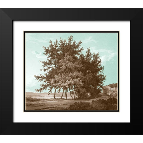 Serene Trees IV Black Modern Wood Framed Art Print with Double Matting by Kennion, Edward
