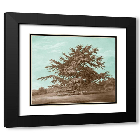 Serene Trees VI Black Modern Wood Framed Art Print with Double Matting by Kennion, Edward